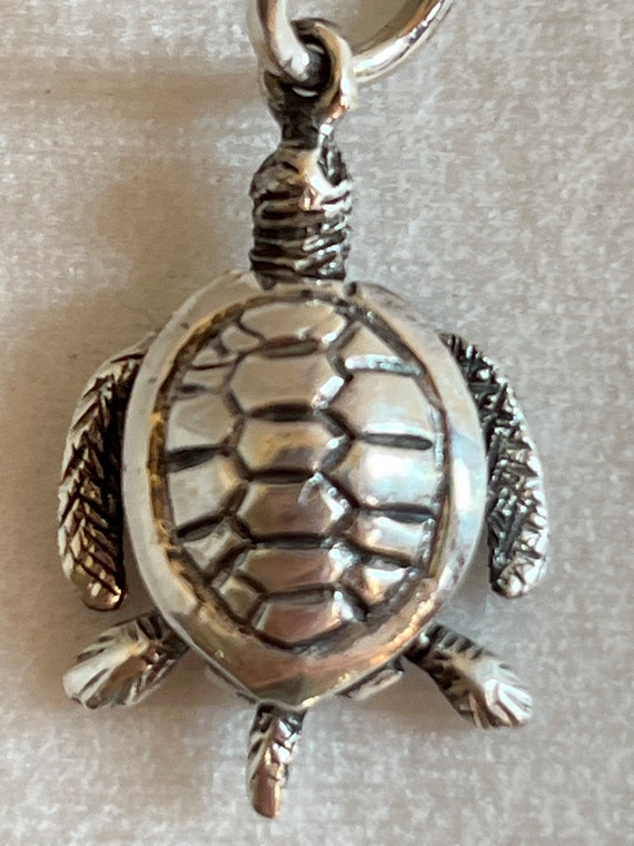 Sea Turtle, Movable Limbs - image 4