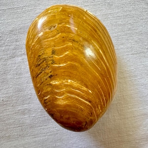 May include: A smooth, oval-shaped, polished stone with a warm, golden brown color and intricate, swirling patterns.