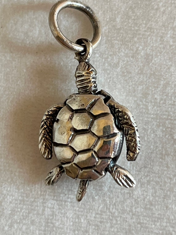 Sea Turtle, Movable Limbs - image 3