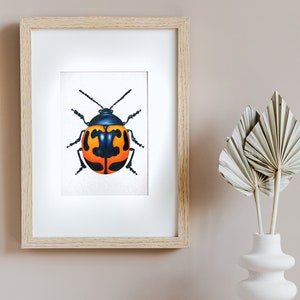Milkweed Beetle Insect Giclée Artist Print, Archival Museum Quality