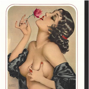 Playboy pinups store