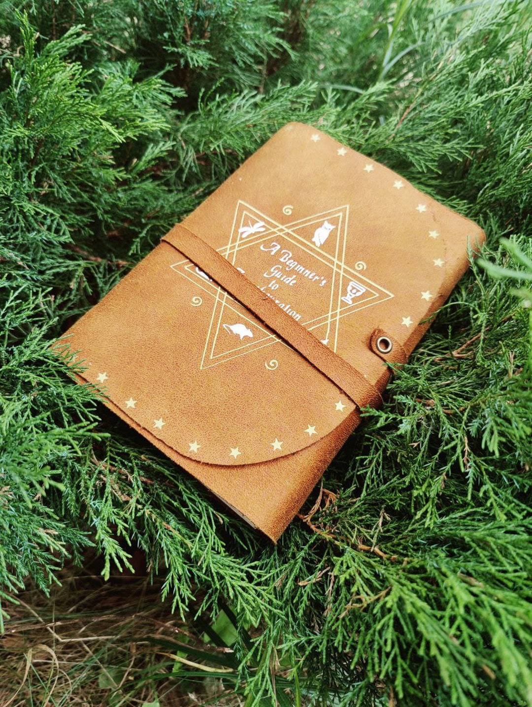 A Beginner's Guide to Transfiguration Book Softbook Etsy