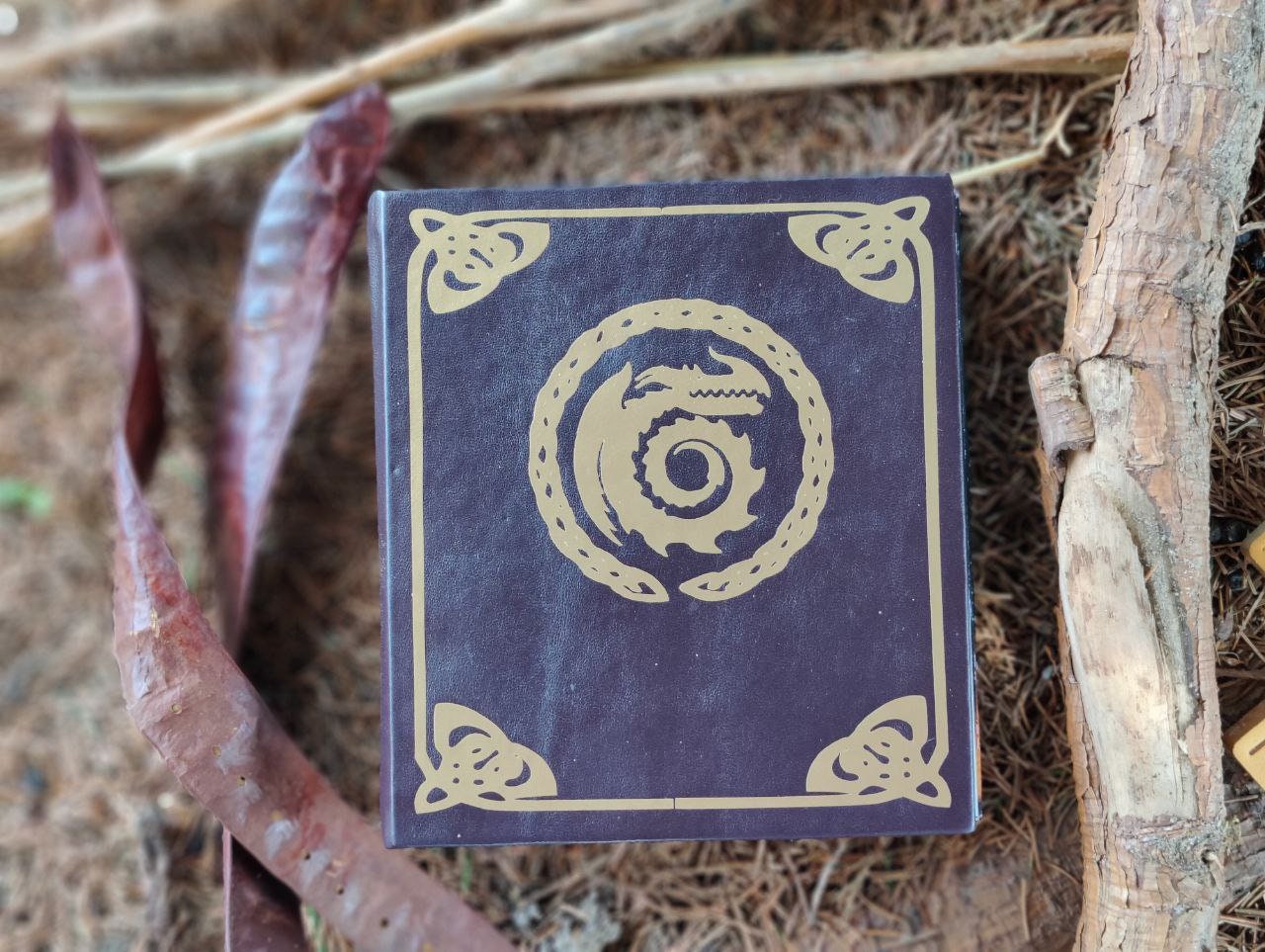 Why are so many people against HTTYD the Nine Realms? : r/httyd