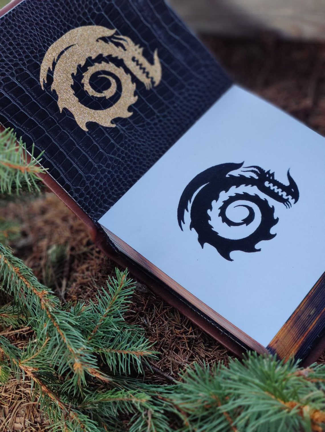 Dragon Manual Book How to Train Your Dragon HTTYD Etsy