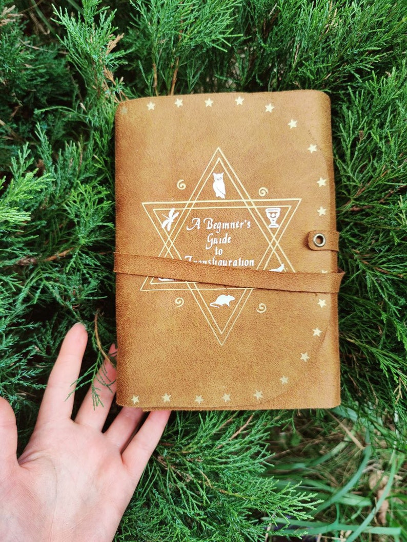 A Beginner's Guide to Transfiguration Book Softbook - Etsy