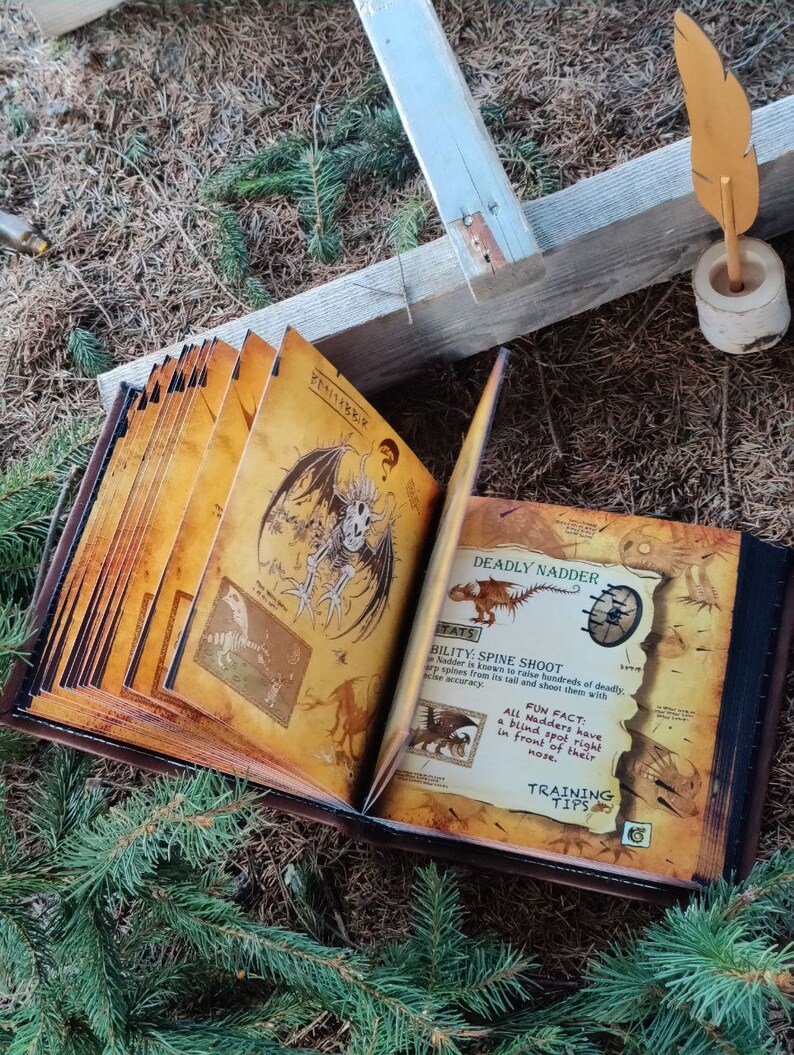 Dragon Manual Book How to Train Your Dragon HTTYD Etsy