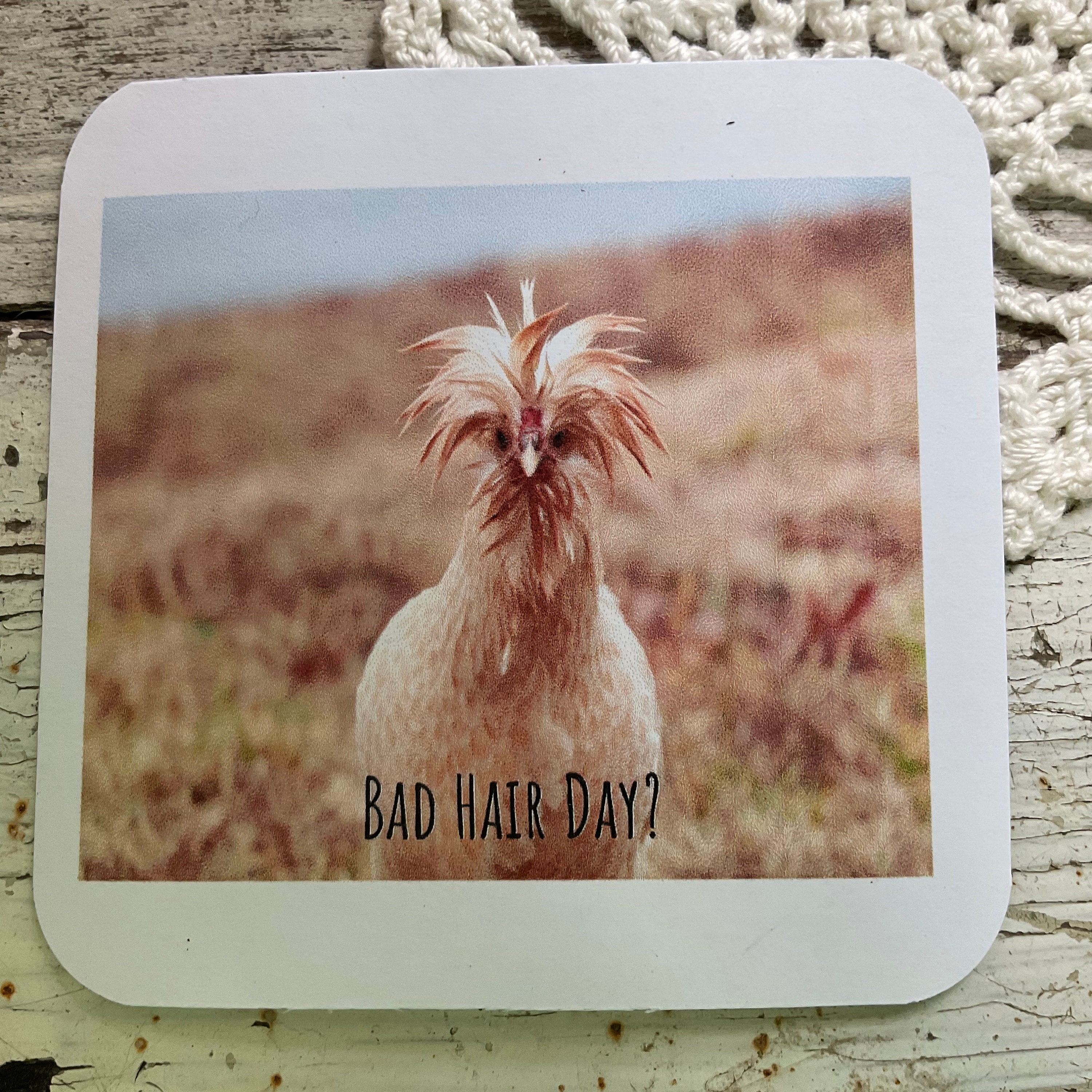 Bad Hair Day Refrigerator Photo of My Polish Chick Caught