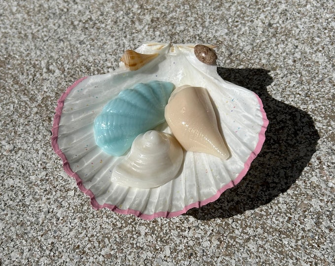 Natural Scallop Shell Soap Dish: Handmade Coastal Bathroom Decor