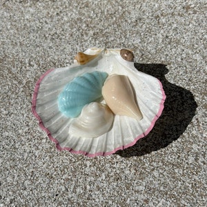 Puede incluir: Una concha blanca con un borde rosa contiene cuatro conchas más pequeñas. Las conchas son en tonos de azul, blanco y beige.