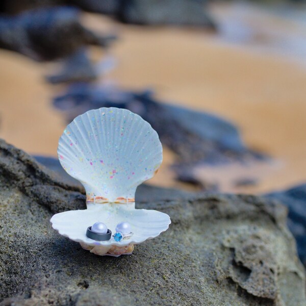 Seashell Ring Box Etsy