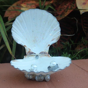 Silver Accented Scallop Seashell Dual Ring Box for Beach Wedding - His and Hers image 3