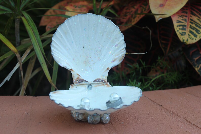 Silver Accented Scallop Seashell Dual Ring Box for Beach Wedding - His and Hers image 3