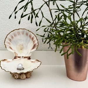 May include: A white seashell ring holder with a pearl ring inside. The ring holder is on a white surface next to a potted green plant with a copper pot.