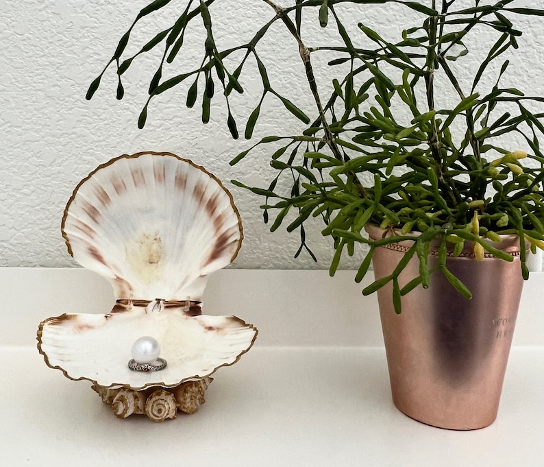 May include: A white seashell ring holder with a pearl ring inside. The ring holder is on a white surface next to a potted green plant with a copper pot.