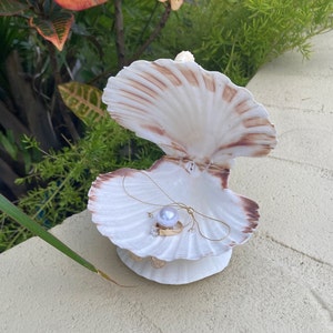 Under the Sea Proposal Seashell Ring Box-Scuba Diving Adventure Engagement-Natural Scallop Shells-Secure Ring Holder-Nautical Keepsake