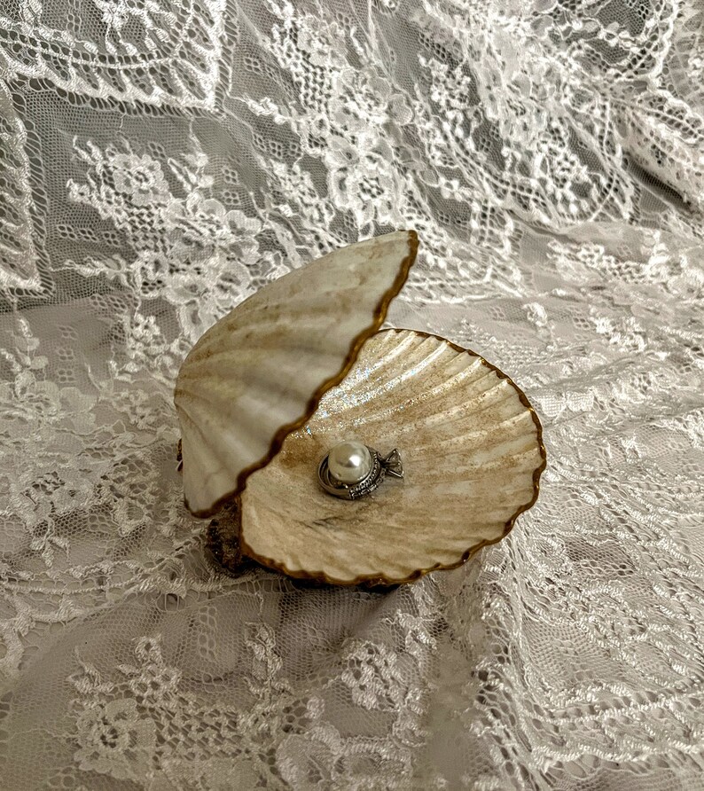 Proposal Seashell Ring Box/seashell Wedding Ring Box/shell Etsy