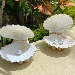 May include: Two white seashells with gold trim, each holding a pearl. The shells are open and the pearls are visible.