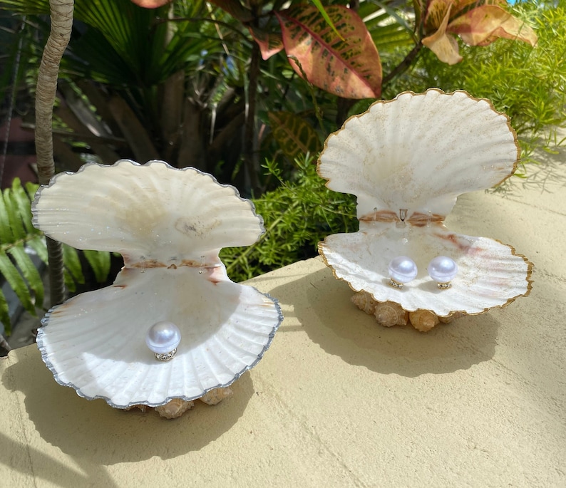 May include: Two white seashells with gold trim, each holding a pearl. The shells are open and the pearls are visible.