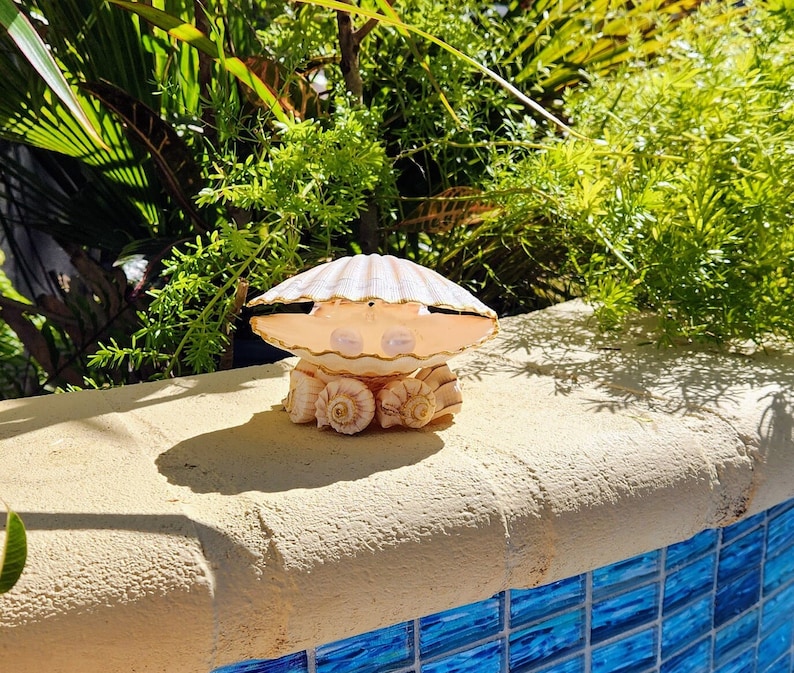 May include: A white seashell with a pearl-like centre, surrounded by smaller seashells, sits on a light brown surface near a blue tiled pool.