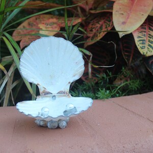 Silver Accented Scallop Seashell Dual Ring Box for Beach Wedding - His and Hers image 5