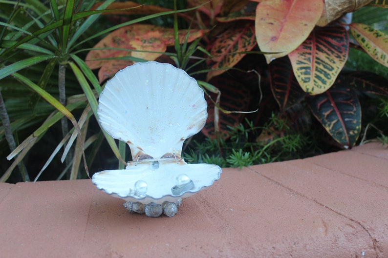 Silver Accented Scallop Seashell Dual Ring Box for Beach Wedding - His and Hers image 5