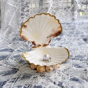 May include: A white seashell with a gold rim, open to reveal a pearl and a ring inside. The seashell is sitting on a white lace tablecloth.