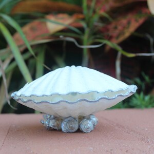 Silver Accented Scallop Seashell Dual Ring Box for Beach Wedding - His and Hers image 4