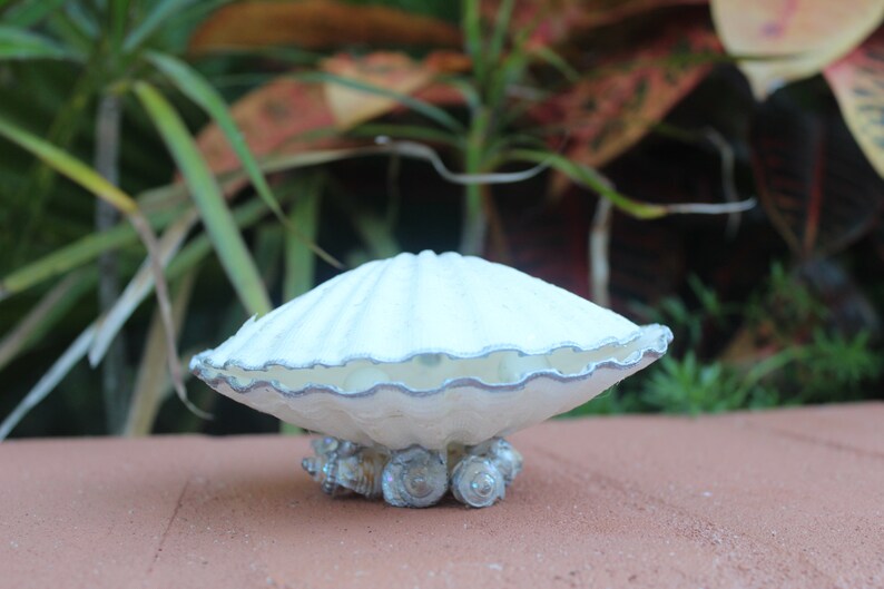 Silver Accented Scallop Seashell Dual Ring Box for Beach Wedding - His and Hers image 4
