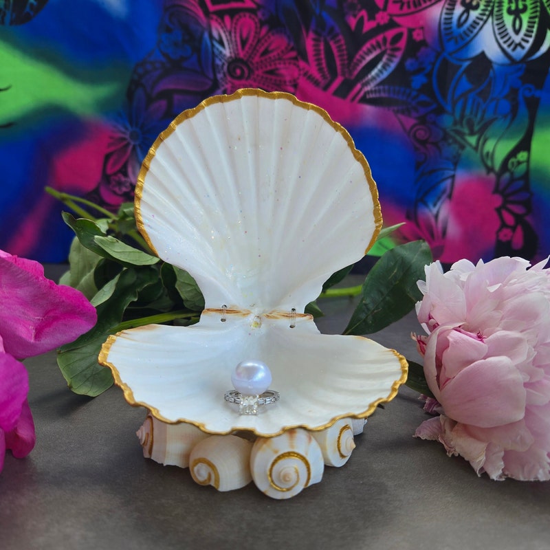 Seashell Jewelry Box - Etsy