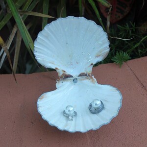 Silver Accented Scallop Seashell Dual Ring Box for Beach Wedding - His and Hers image 2