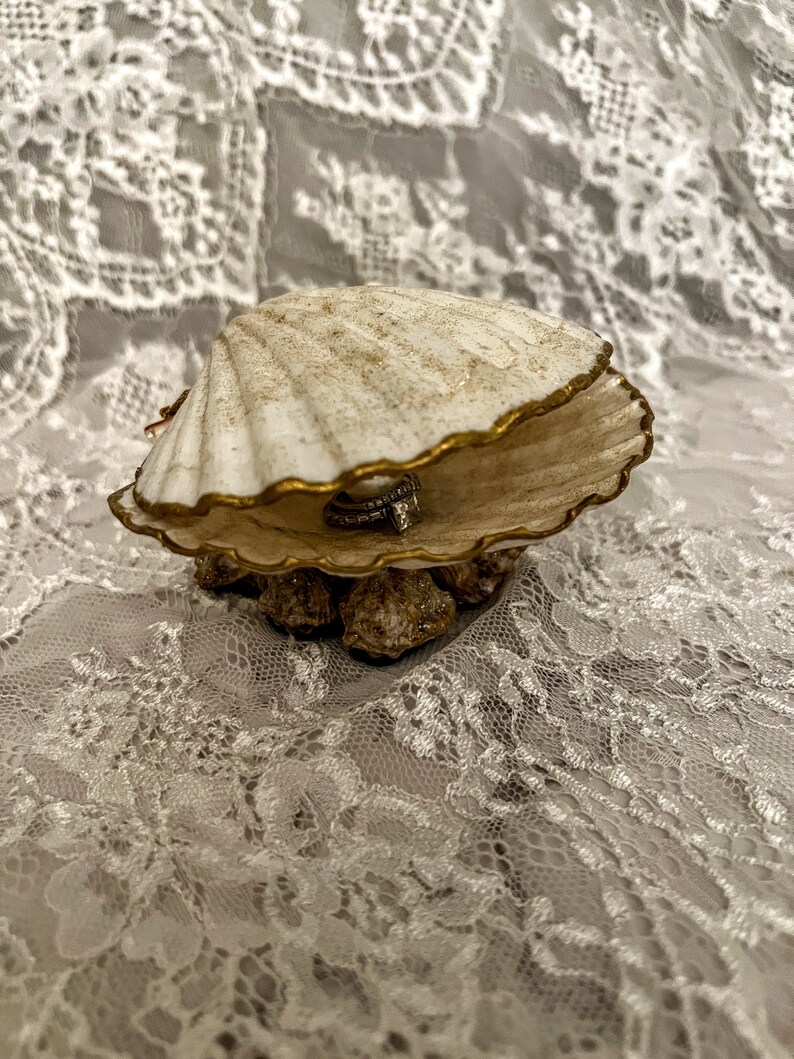 Proposal Seashell Ring Box/seashell Wedding Ring Box/shell Etsy