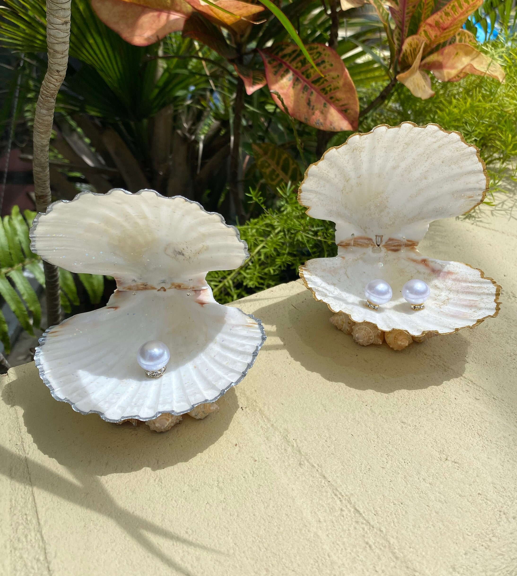Proposal Seashell Ring Box/seashell Wedding Ring Box/shell Engagement