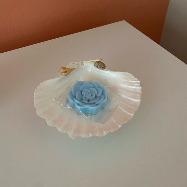 Shell Soap Dish Etsy