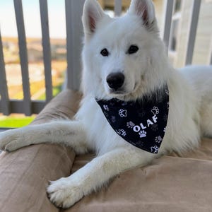 Custom Dog Bandanas with Name - Personalized Pet Accessories in Multiple Colors & Sizes