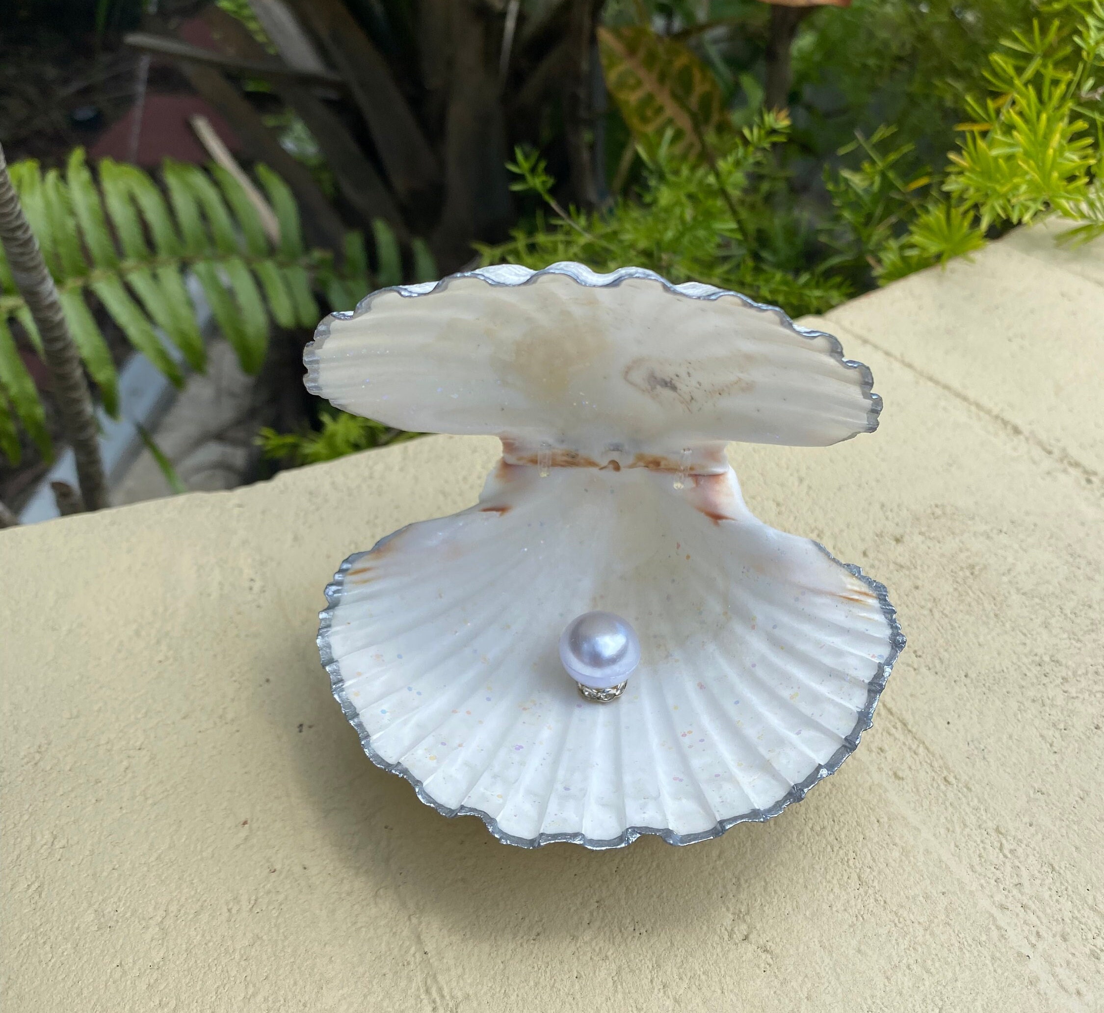 Proposal Seashell Ring Box/seashell Wedding Ring Box/shell Engagement