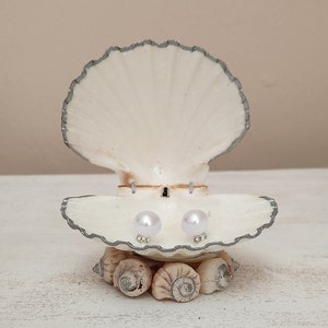 Proposal seashell ring box/SeaShell Wedding Ring Box/Shell Engagement ring box/Proposal ring box/Beach wedding ring box/silver ring box