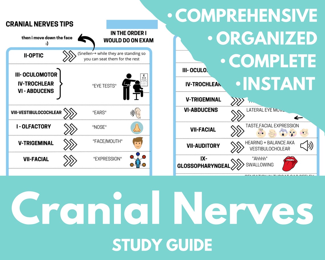 Cranial Nerves Cheat Sheet Lesson Instant PDF Printable Etsy Canada