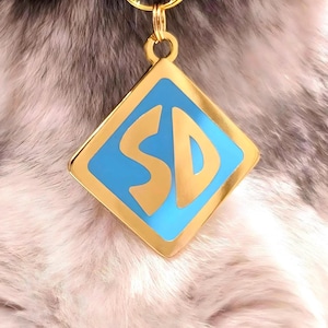 Custom metal blue gold cartoon SD rear engraved Gold Silver rose cat dog kitten puppy pet tag ID microchipped small medium large extra