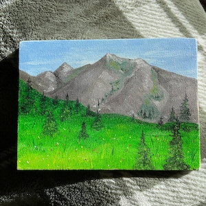 Original Oil Painting Mountain Landscape with Wildflower Meadow Forest on Canvas
