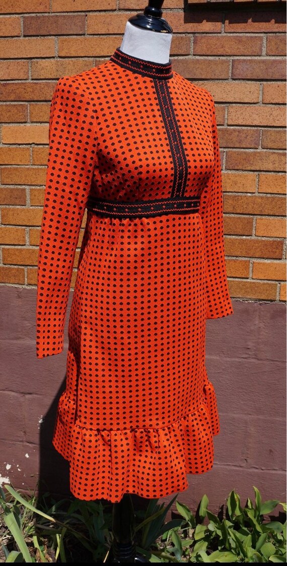 Fabulous vintage fall dress. Perfect for Thanksgi… - image 3