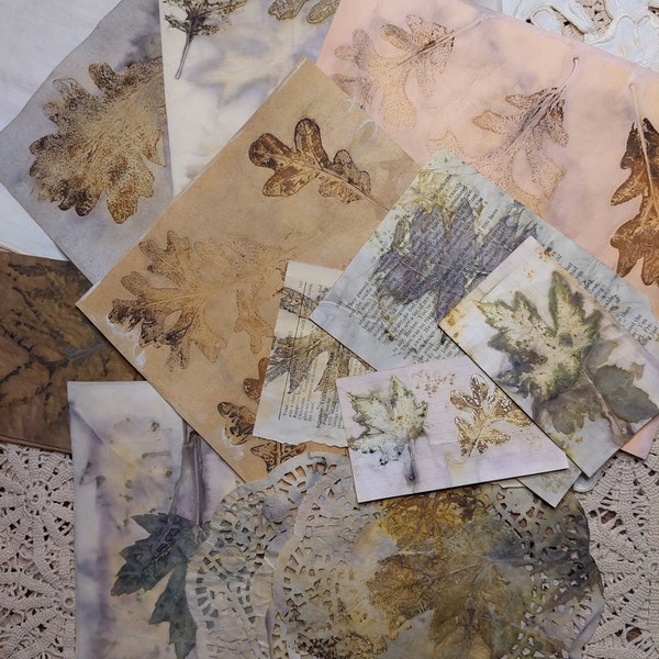 Handmade Eco Dyed Paper Pack (F)