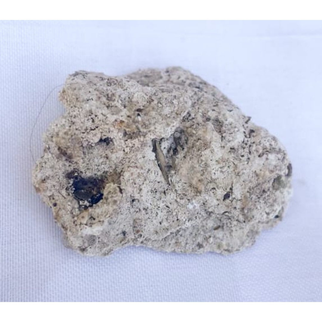 Ambergris, Sperm Whale Organic Material, Perfume Making Spermaceti