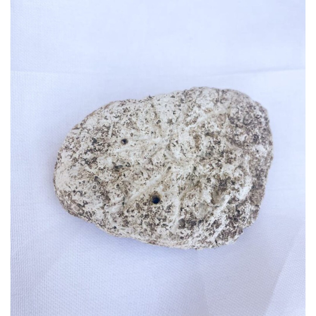 Ambergris, Sperm Whale Organic Material, Perfume Making Spermaceti