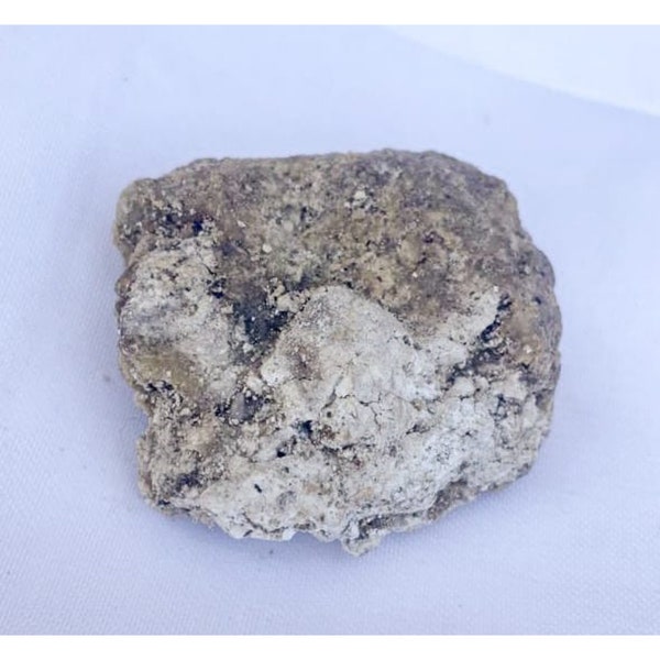 Sperm Whale Oil Etsy