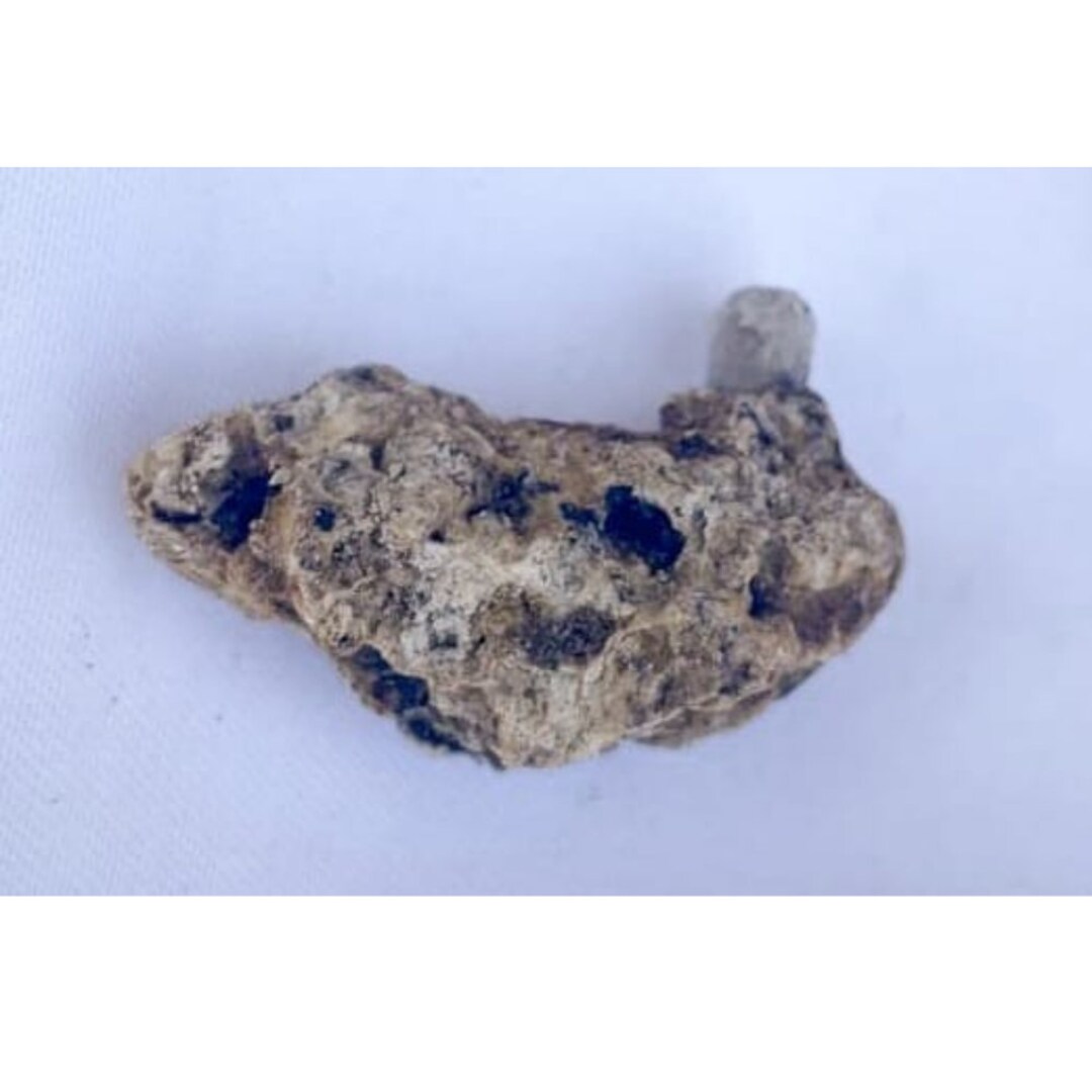 Ambergris, Sperm Whale Organic Material, Perfume Making Spermaceti