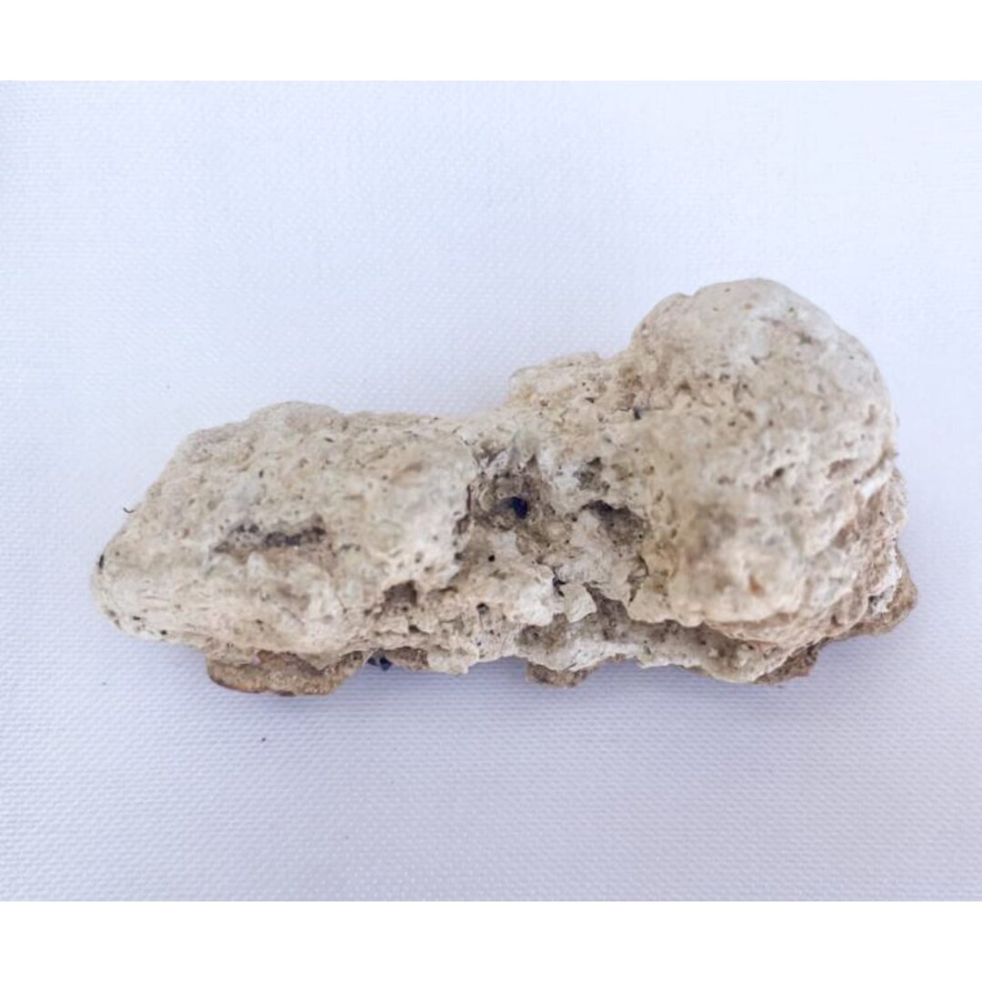 Ambergris, Sperm Whale Organic Material, Perfume Making Spermaceti