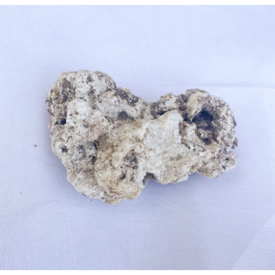 Ambergris for Perfume Making, Ambergris Rock, Whale Rock for Cosmetic