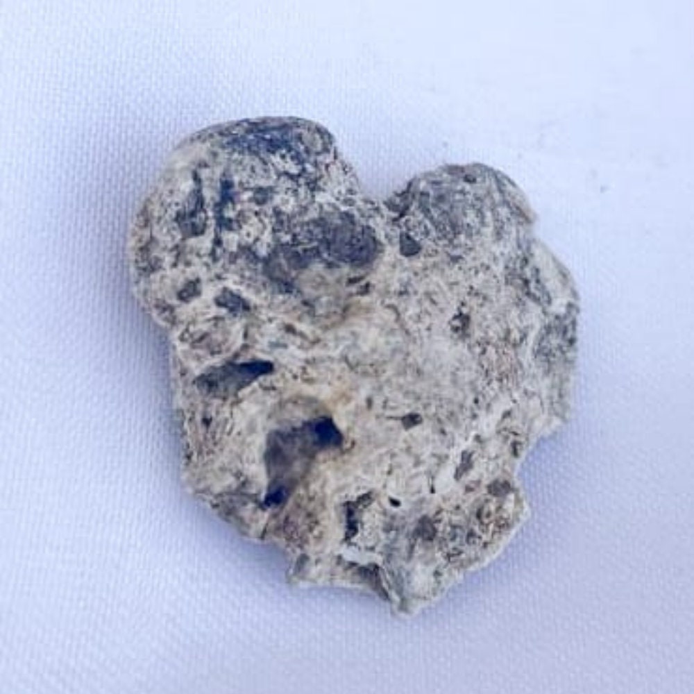 Ambergris, Sperm Whale Organic Material, Perfume Making Spermaceti