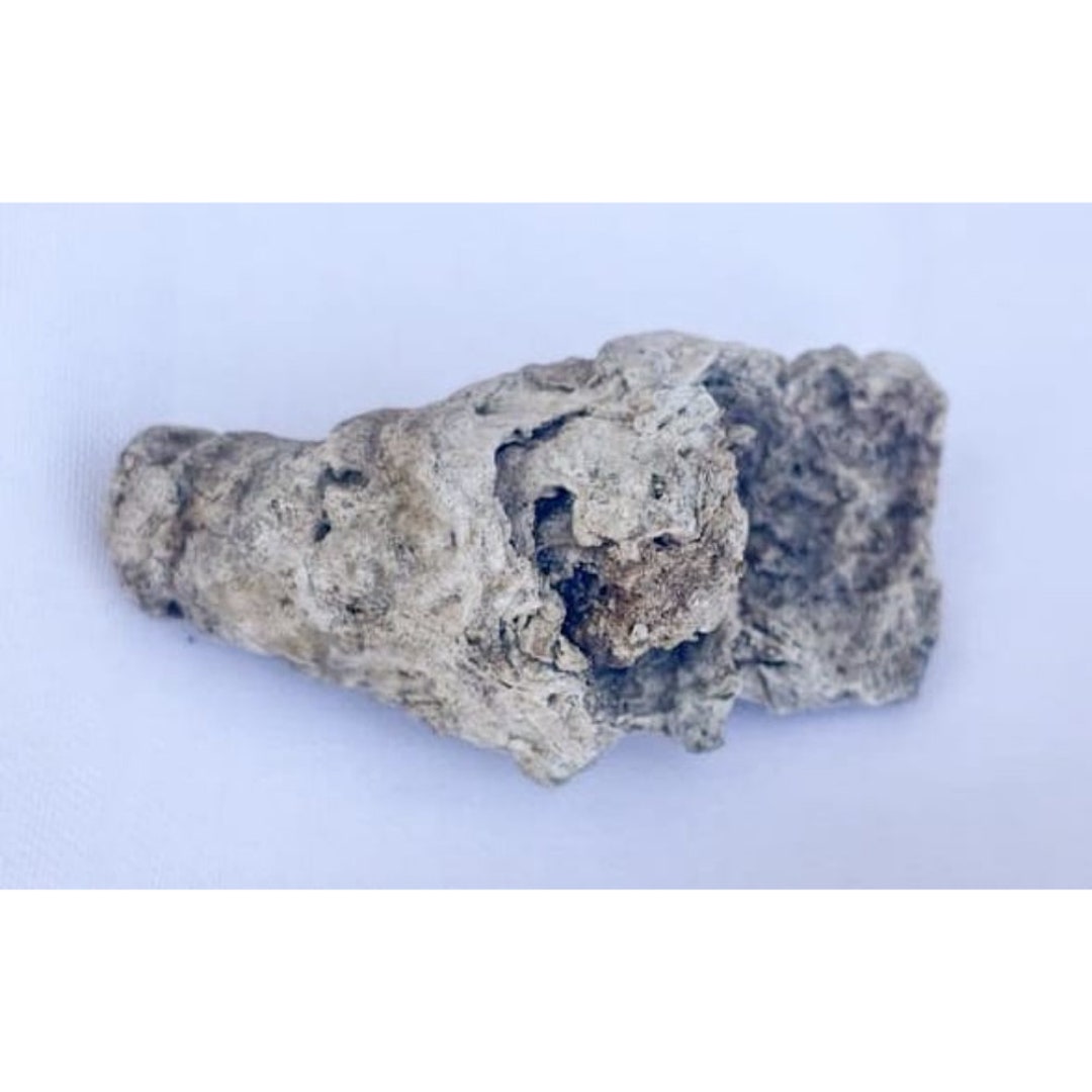 Ambergris, Sperm Whale Organic Material, Perfume Making Spermaceti