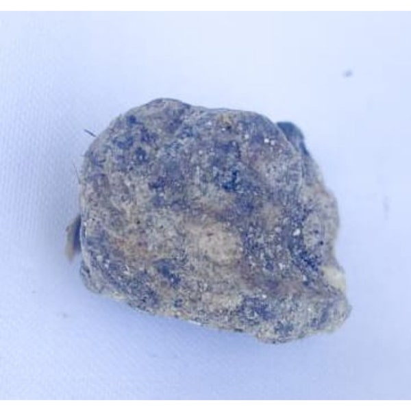 Sperm Whale Oil Etsy